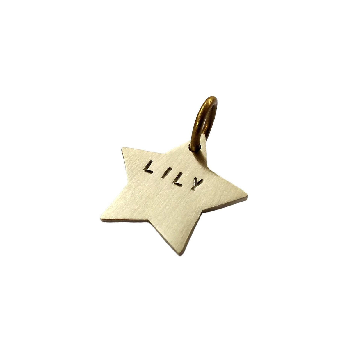 The Guiding Star Token | Artisan Minimalist Cat ID & Custom Kitten Tag, in German Silver finish