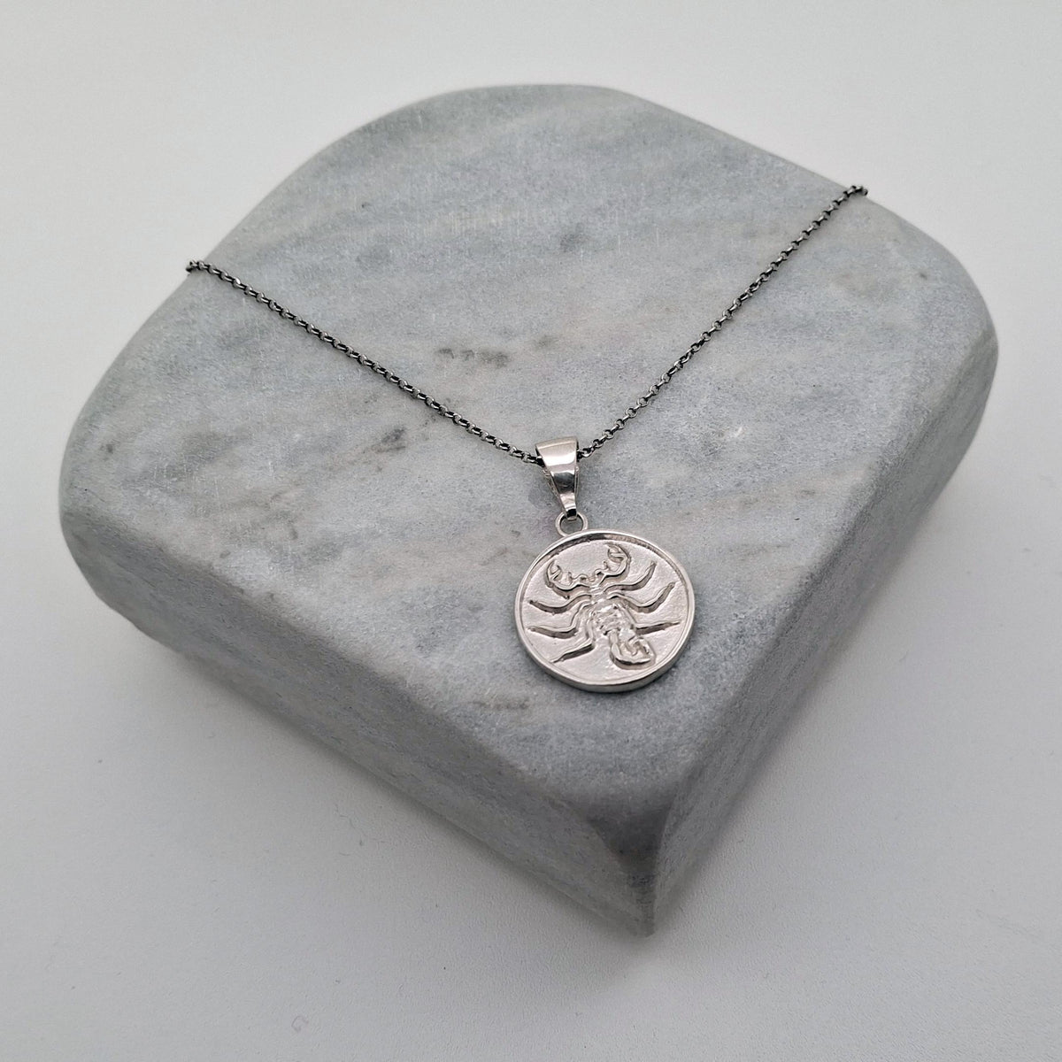 Scorpion Medallion Necklace | Scorpio Zodiac Talisman, alternate angle