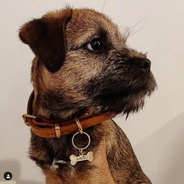 The Loyal Companion Token | Artisan Rustic Brass Bone Pet ID & Custom Tag