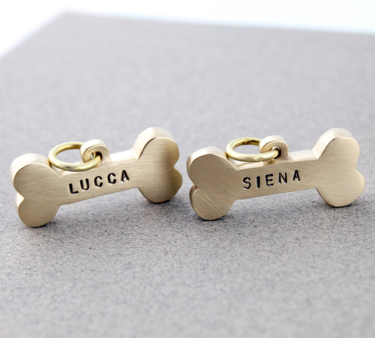 The Heritage Bone Token | Heavy-Gauge Solid Brass Custom Bone Dog Tag, front view