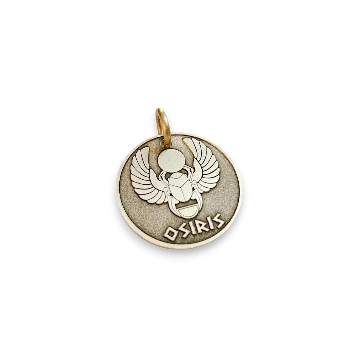 The Eternal Guardian Token | Artisan Scarab Pet ID & Custom Engraved Dog Tag, styled view