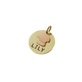 The Woodland Forager Token | Artisan Mushroom Pet ID & Custom Dog Tag, front view