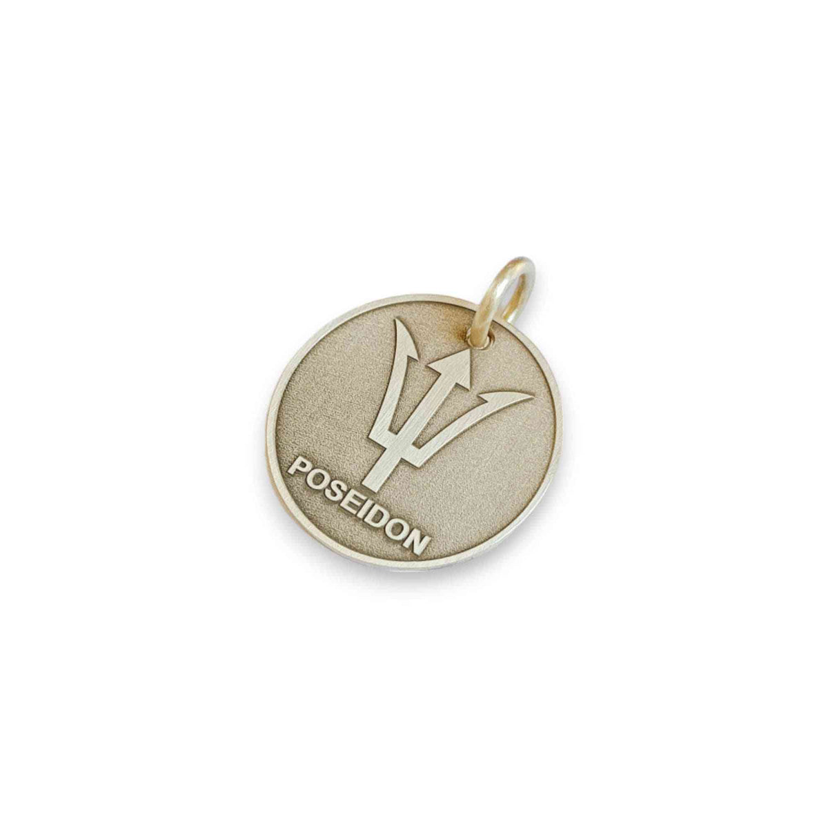 The Guardian's Token | Artisan Trident Pet ID & Custom Engraved Dog Tag, alternate angle