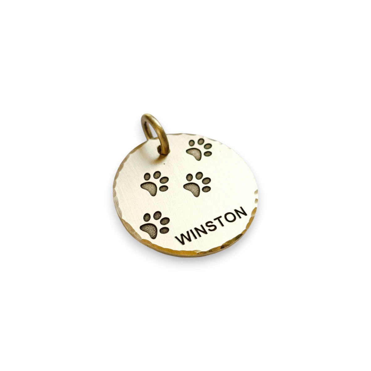 The Trailblazer Token | Artisan Paw Print Pet ID & Custom Engraved Dog Tag, styled view