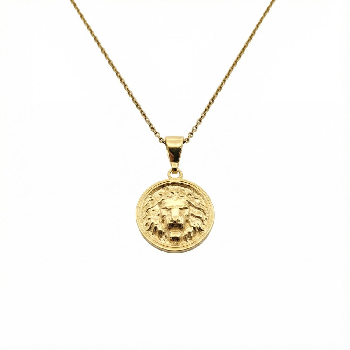 Lion Head Medallion detail, sterling silver lion face close up