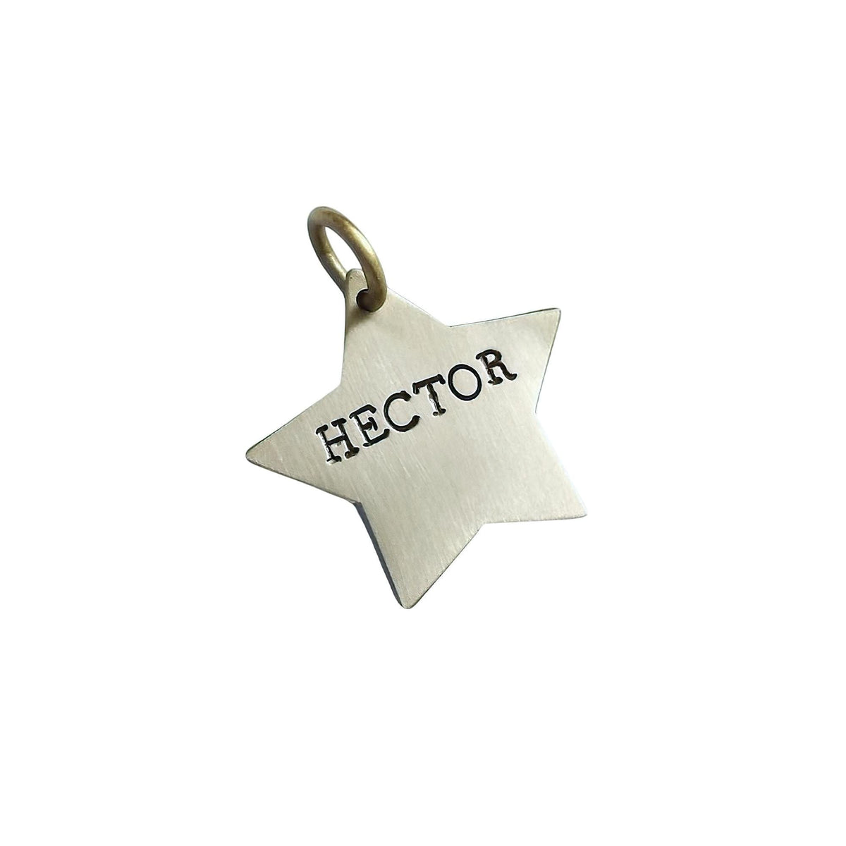 The Celestial Star Token | Artisan Celestial Pet ID & Custom Hand-Stamped Dog Tag, styled view