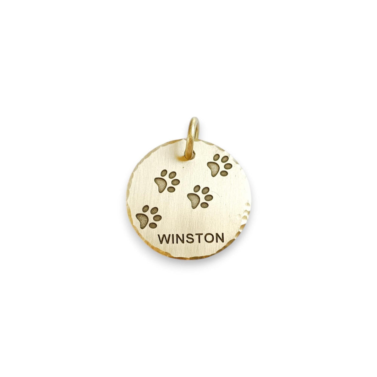The Trailblazer Token | Artisan Paw Print Pet ID & Custom Engraved Dog Tag, front view