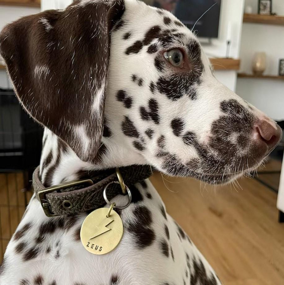 The Lightning Strike Token | Artisan Bolt Pet ID & Custom Dog Tag