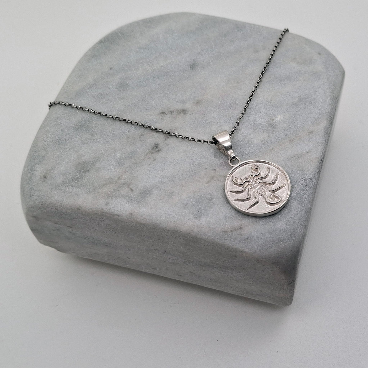 Scorpion Medallion Necklace | Scorpio Zodiac Talisman, front view