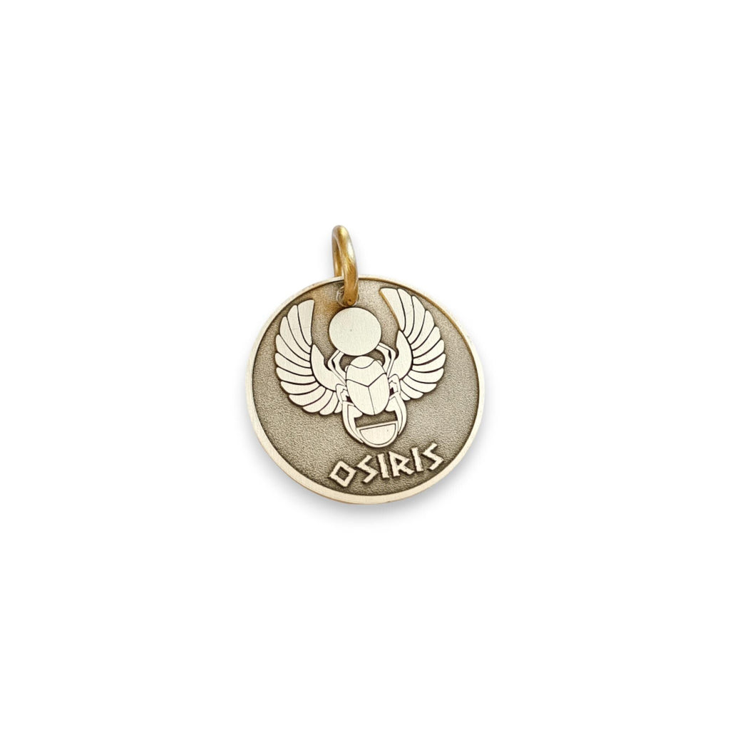 The Eternal Guardian Token | Artisan Scarab Pet ID & Custom Engraved Dog Tag, alternate angle