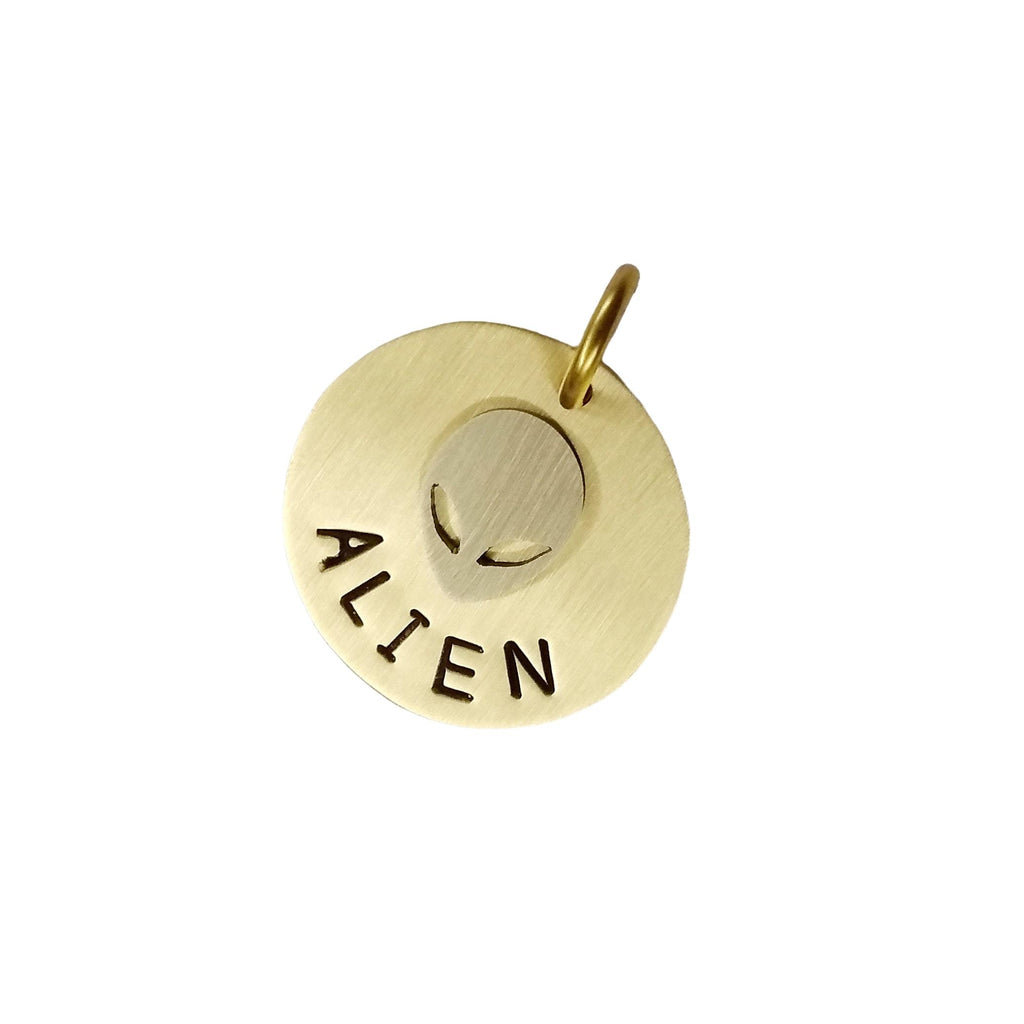 The Cosmic Voyager Token | Artisan Alien Pet ID & Custom Tag, additional detail