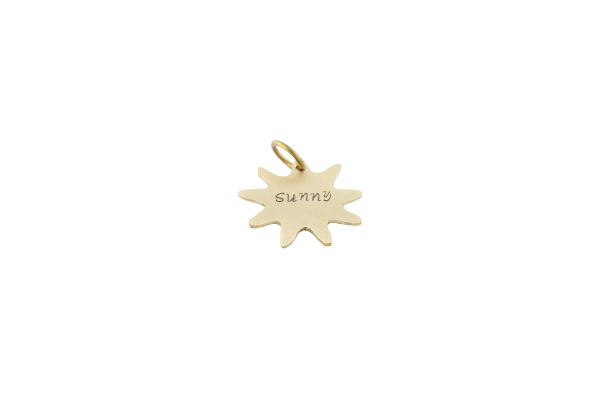 The Radiant Sun Token | Artisan Sun Pet ID & Custom Dog Tag, styled view