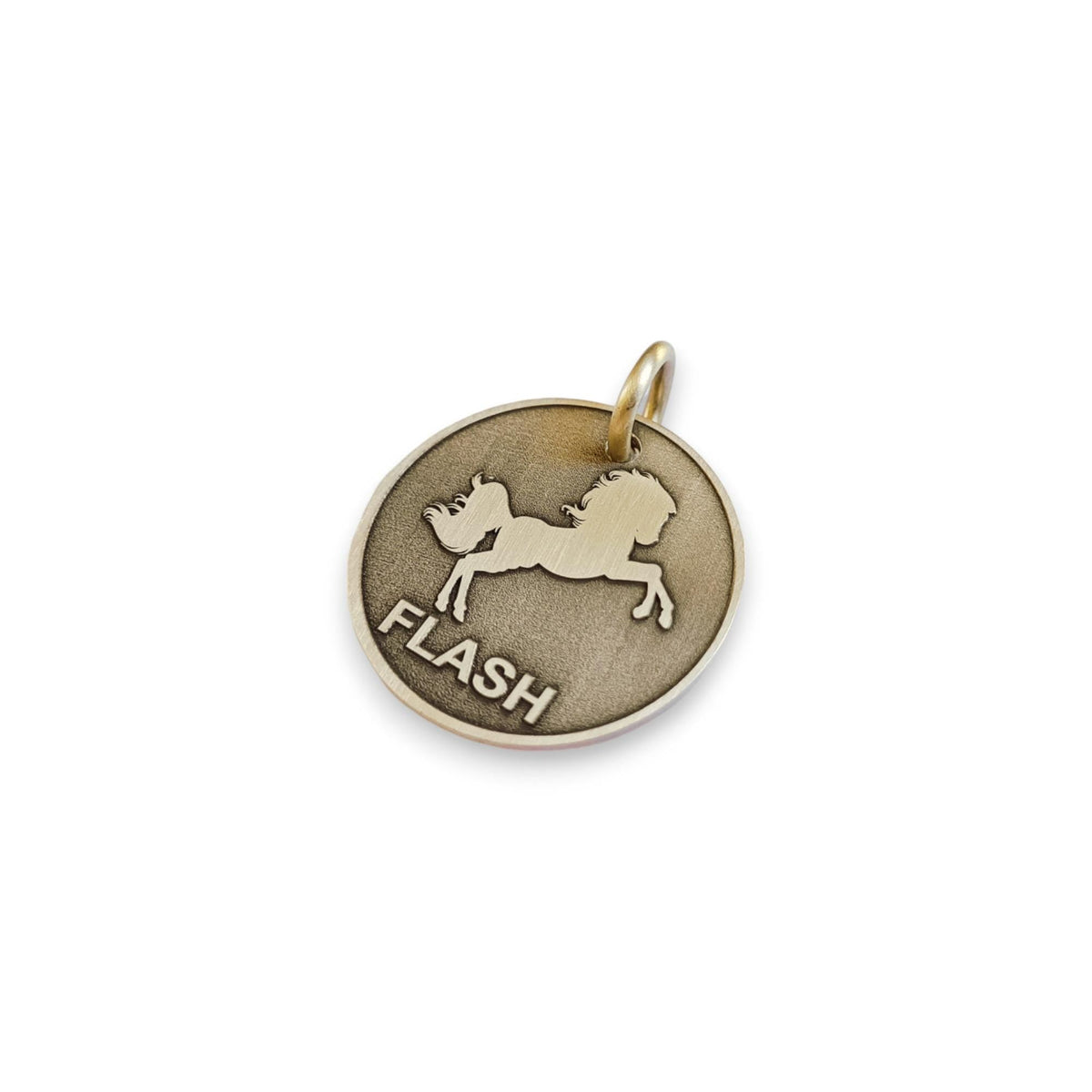 The Horse Token | Artisan Horse Pet ID & Custom Engraved Dog Tag, styled view