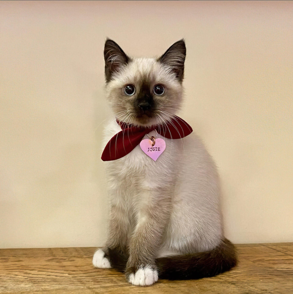 Heart Cat Tag, Custom Pet ID, Handmade Kitten Collar Tag, alternate angle