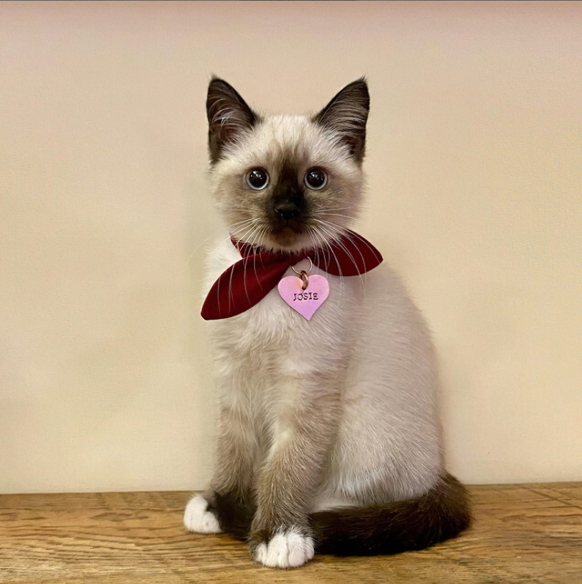 Heart Cat Tag, Custom Pet ID, Handmade Kitten Collar Tag, alternate angle