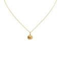 Scallop Shell Necklace | Delicate Mediterranean Beach Charm, in Yellow Gold Plated finish