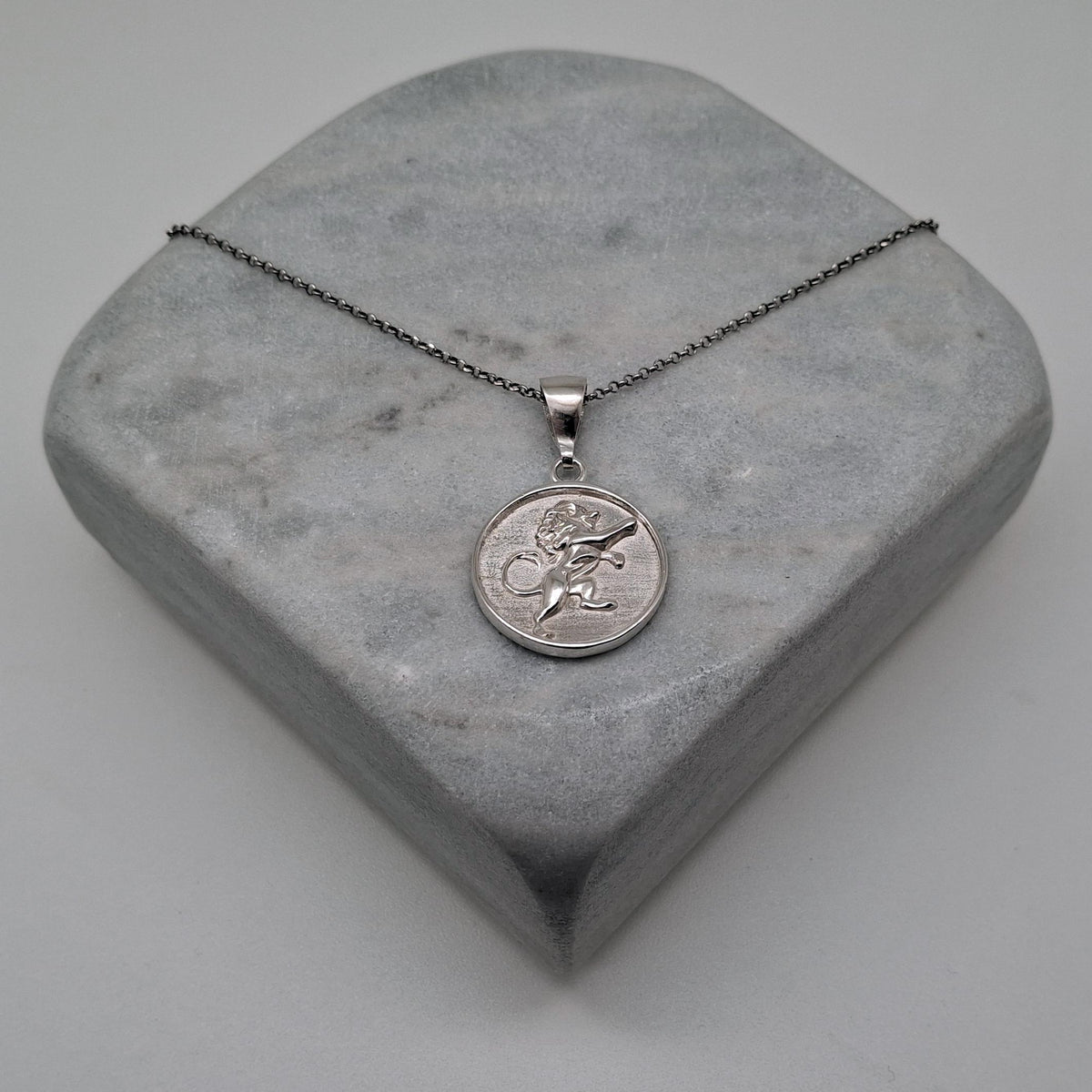 Lion Medallion Necklace | Rampant Emblem Talisman, front view
