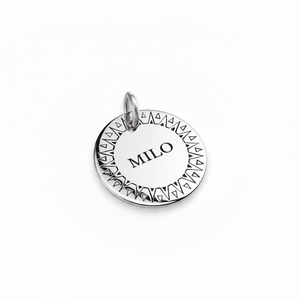 Silver Sun Dog Tag | Custom Geometric Pet ID Collar Charm, styled view