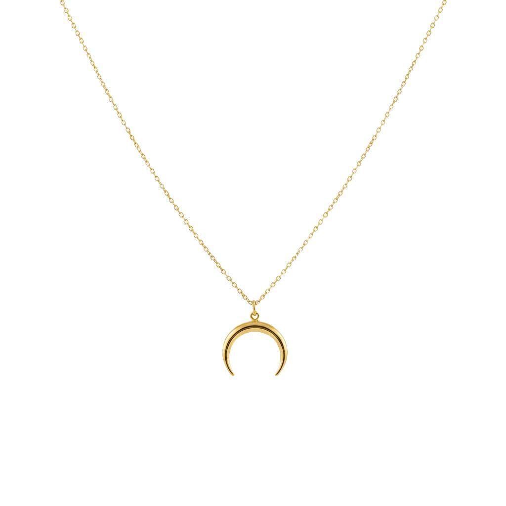 Crescent Moon Horn Necklace | Protection & New Beginnings, close-up detail