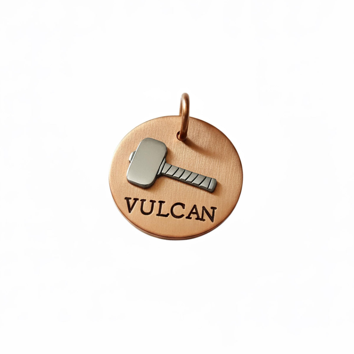 The Thunder-Forged Token | Artisan Hammer Pet ID & Custom Dog Tag, front view
