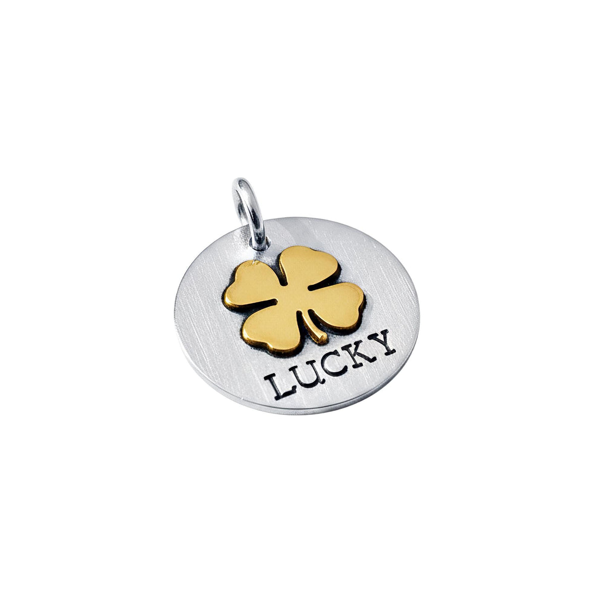 The Rare Fortune Token | Artisan Clover Pet ID & Custom Dog Tag, styled view
