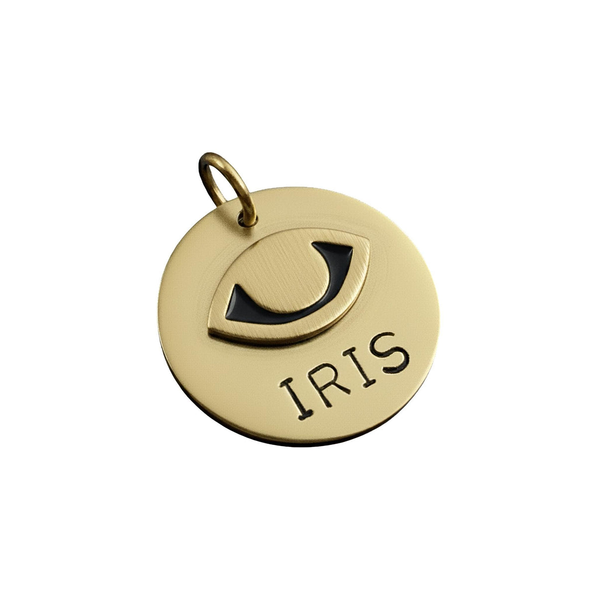 The Guardian's Gaze Token | Artisan Evil Eye Pet ID & Custom Protection Tag, in Brass with Brass Top finish