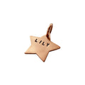 The Guiding Star Token | Artisan Minimalist Cat ID & Custom Kitten Tag, in Copper finish