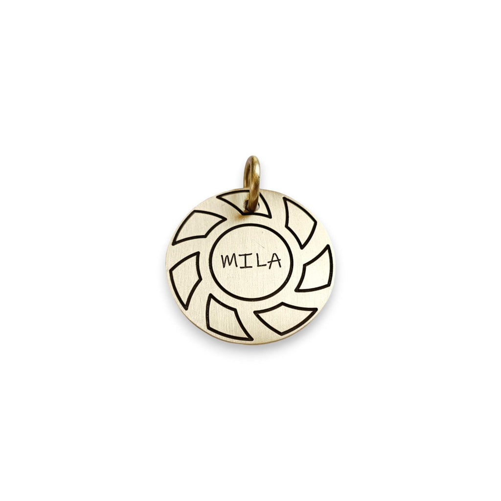 The Momentum Token | Artisan Gear Pet ID & Custom Engraved Dog Tag, front view