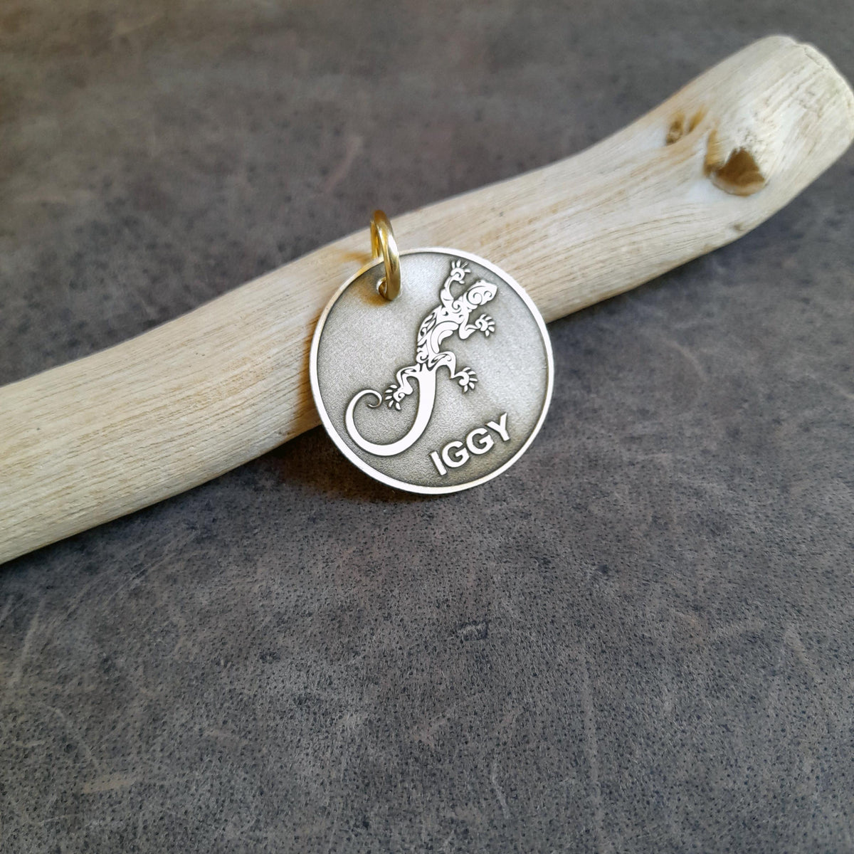 The Resilient Token | Artisan Gecko Pet ID & Custom Engraved Dog Tag, close-up detail