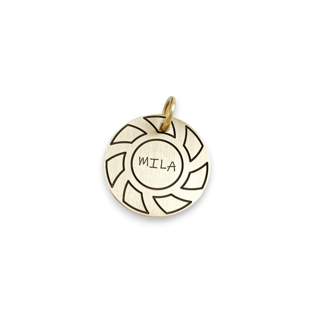 The Momentum Token | Artisan Gear Pet ID & Custom Engraved Dog Tag, styled view