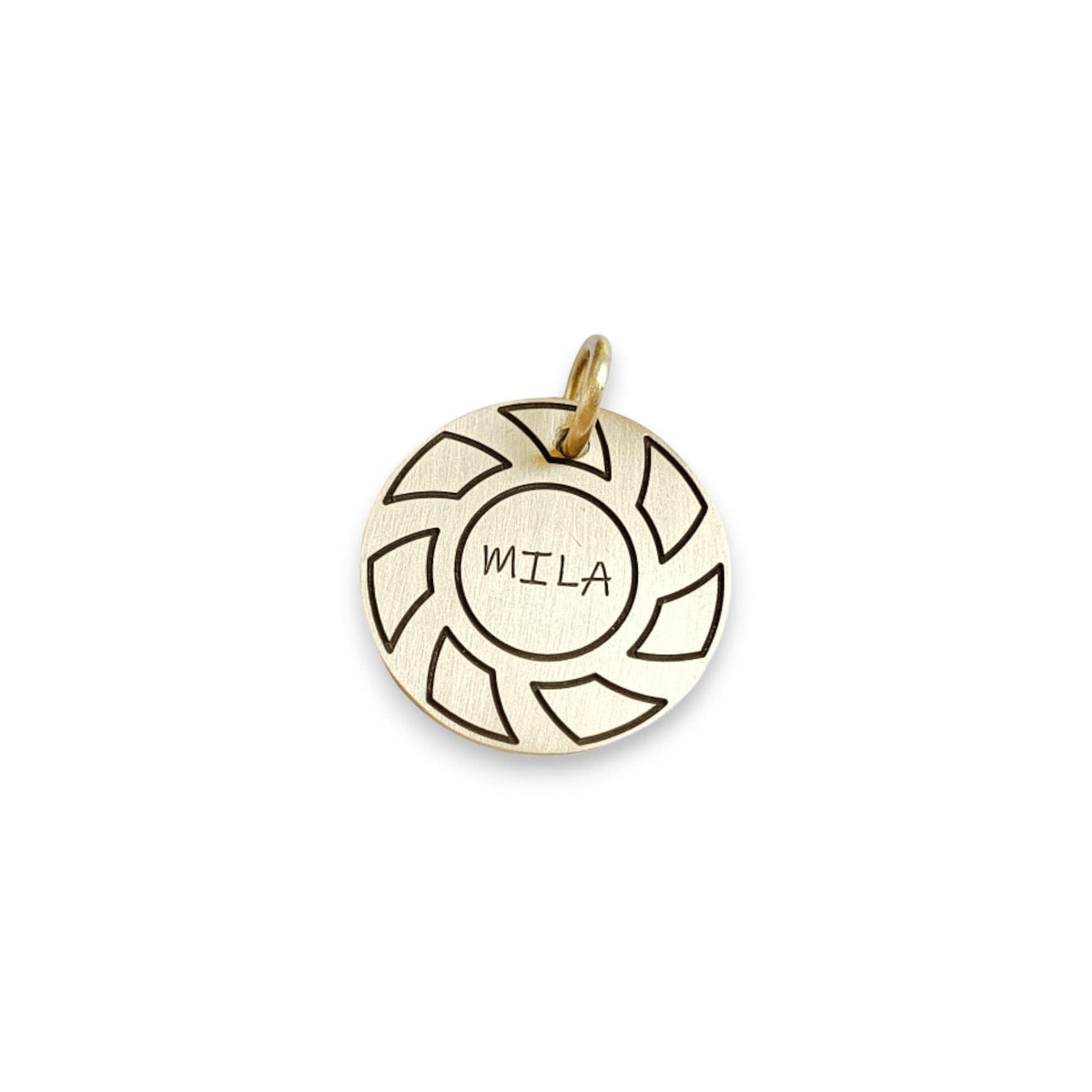 The Momentum Token | Artisan Gear Pet ID & Custom Engraved Dog Tag, styled view