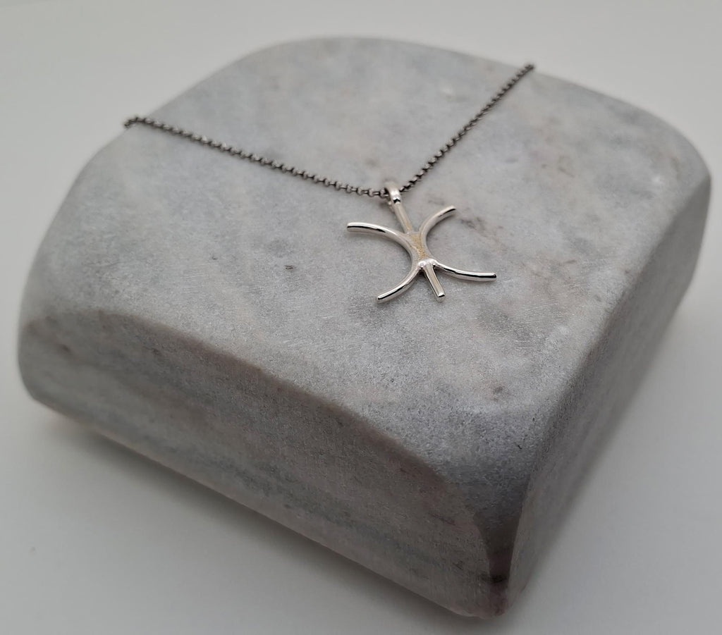 Eris Symbol Necklace | Goddess of Discord Talisman, front view