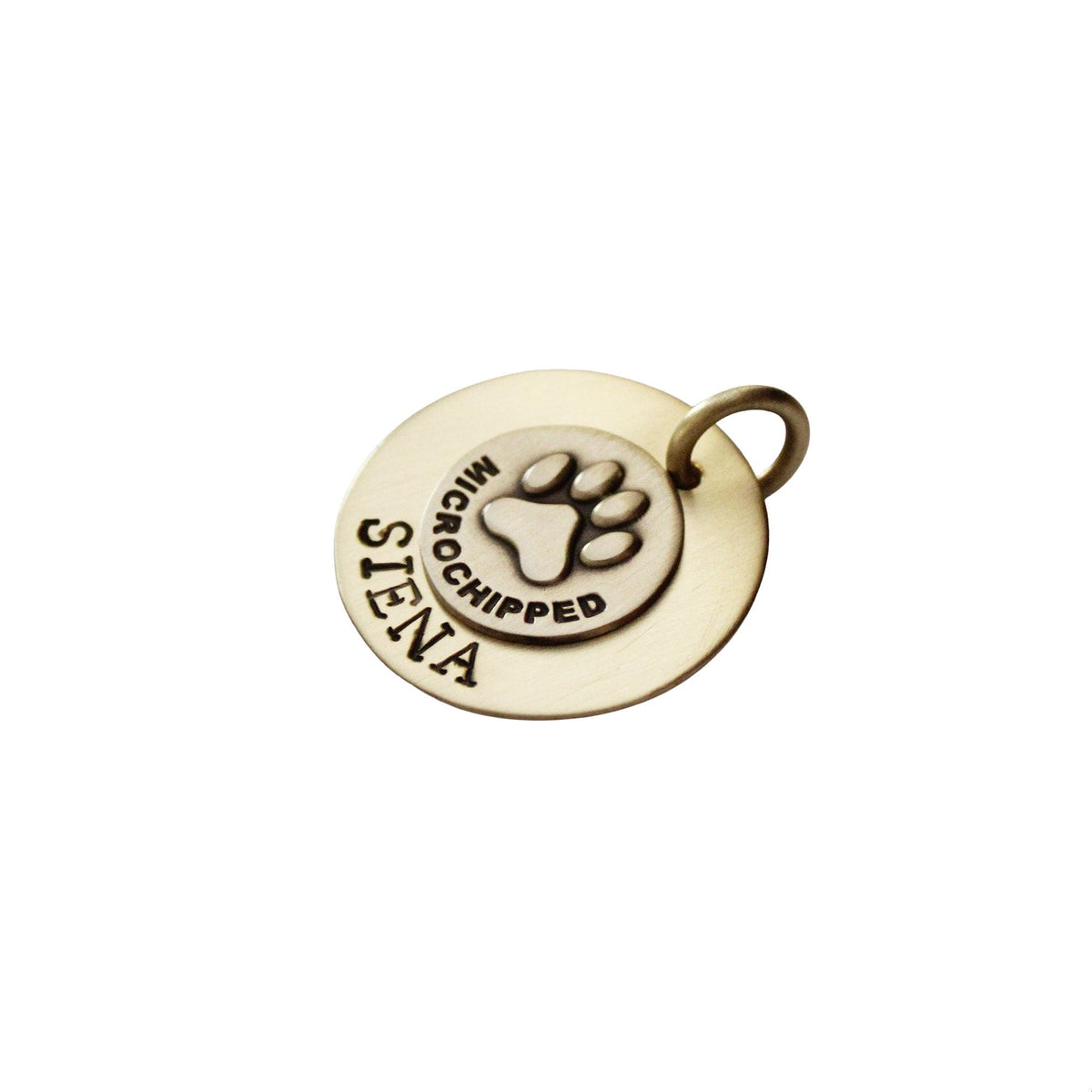 The Sentinel Sigil | Artisan Microchip Pet ID & Custom Engraved Dog Tag, styled view