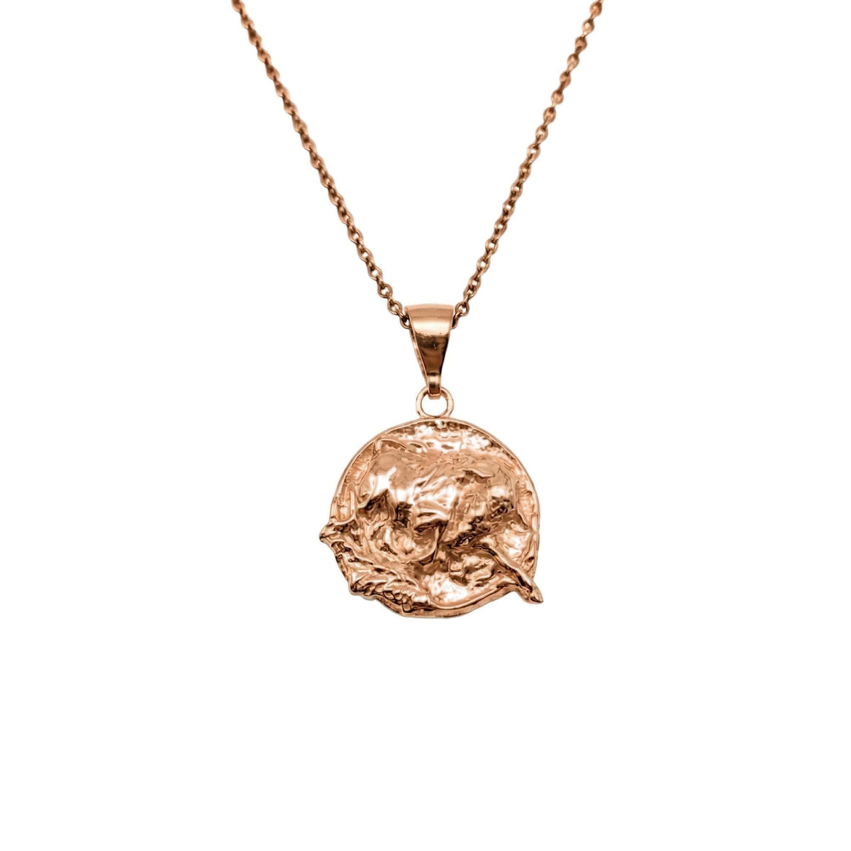 Bull Medallion Necklace | Strength & Resilience Talisman, close-up detail