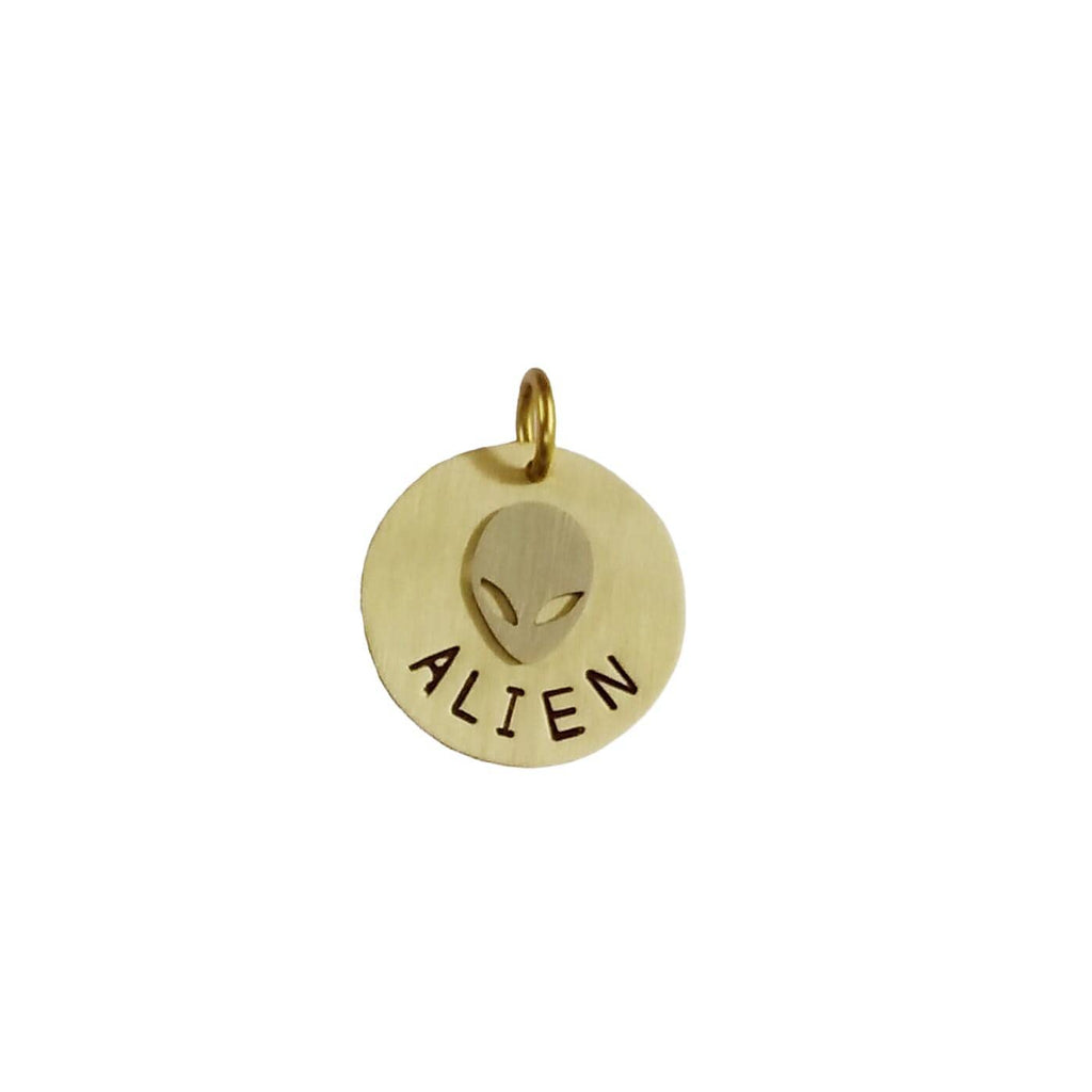 The Cosmic Voyager Token | Artisan Alien Pet ID & Custom Tag, styled view
