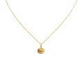 Seashell Charm Necklace | Solid Gold Ocean Talisman | 14K Heirloom Jewelry, front view