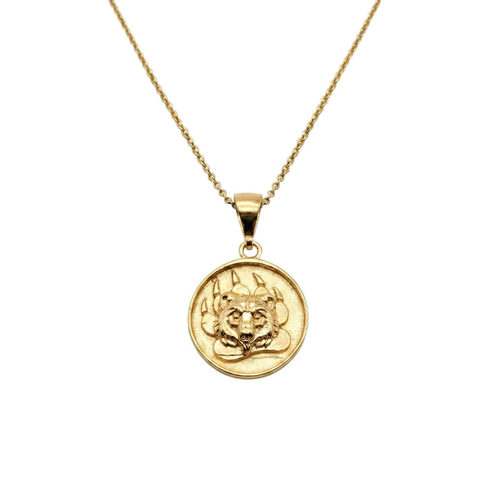 Bear Paw Medallion | Courage & Protection Talisman, alternate angle