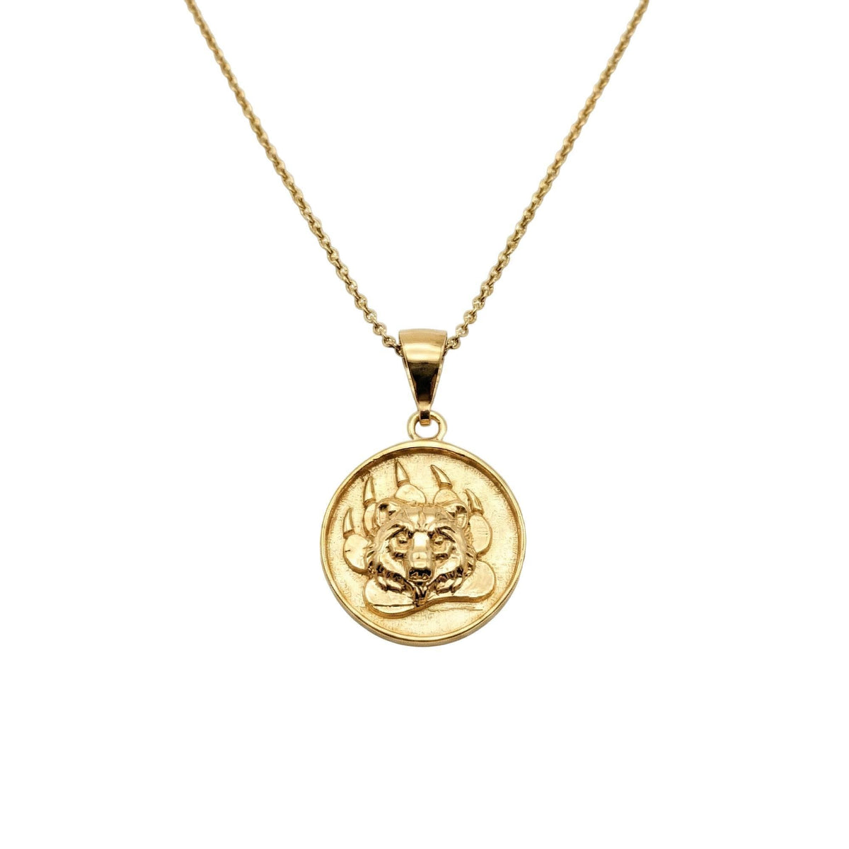 Bear Paw Medallion | Courage & Protection Talisman, alternate angle