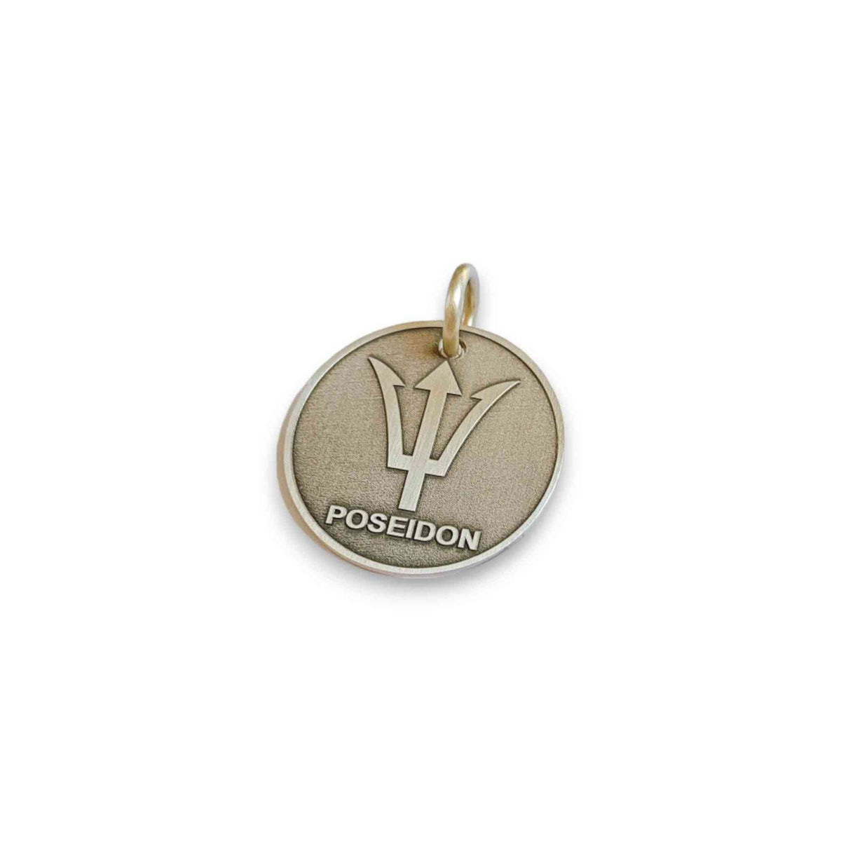 The Guardian's Token | Artisan Trident Pet ID & Custom Engraved Dog Tag, styled view