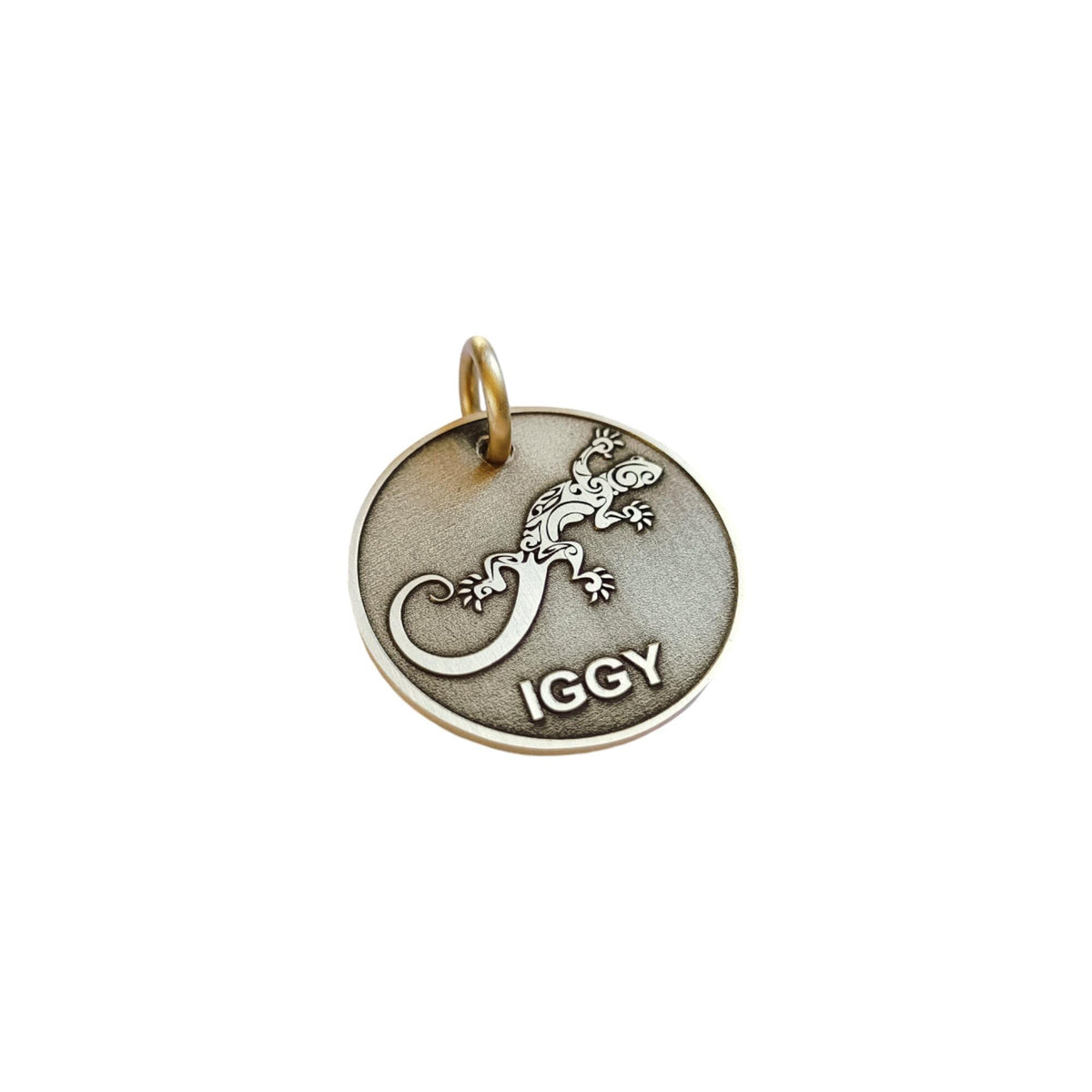 The Resilient Token | Artisan Gecko Pet ID & Custom Engraved Dog Tag, styled view