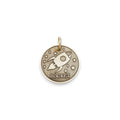 The Explorer Token | Artisan Rocket Pet ID & Custom Engraved Dog Tag, front view