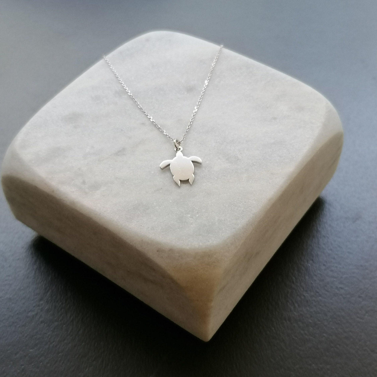Dainty Turtle Necklace | Ocean Longevity Talisman, styled view