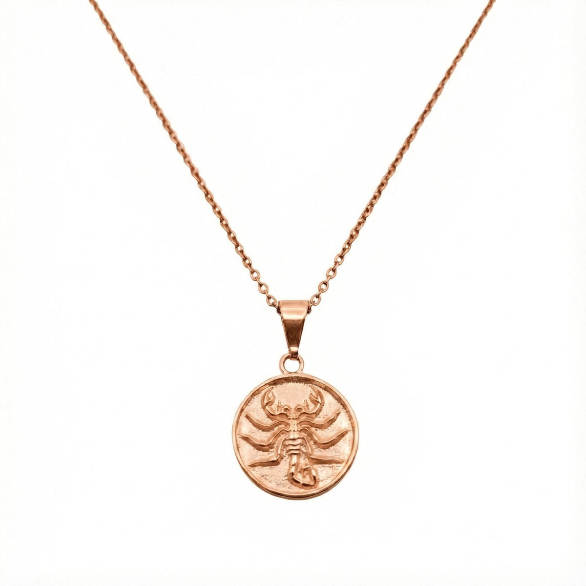 Scorpion Medallion necklace flat lay, oxidized sterling silver