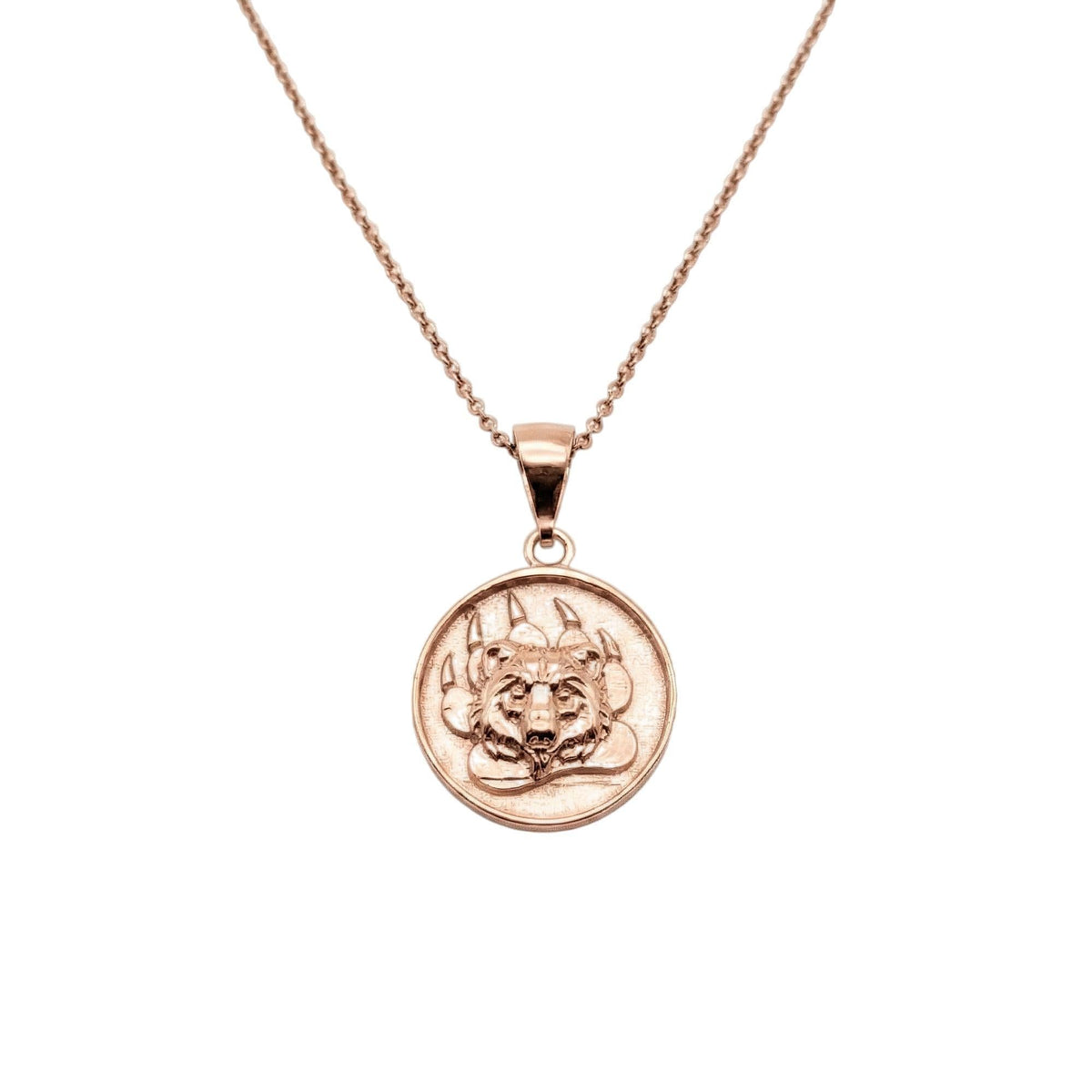 Bear Paw Medallion | Courage & Protection Talisman, close-up detail