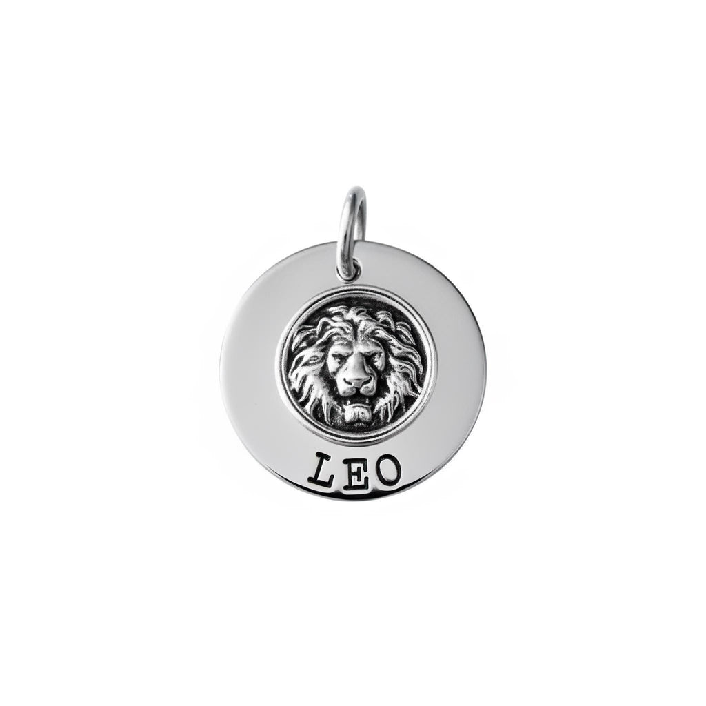 Lion Dog Tag | Custom Engraved Pet ID Collar Charm, styled view