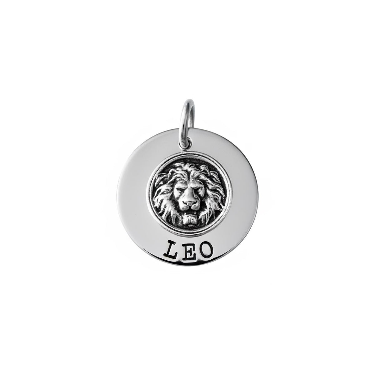 Lion Dog Tag | Custom Engraved Pet ID Collar Charm, styled view