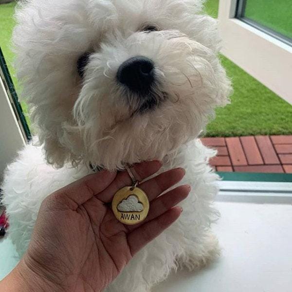 The Daydreamer's Token | Artisan Cloud Pet ID & Custom Dog Tag, additional detail