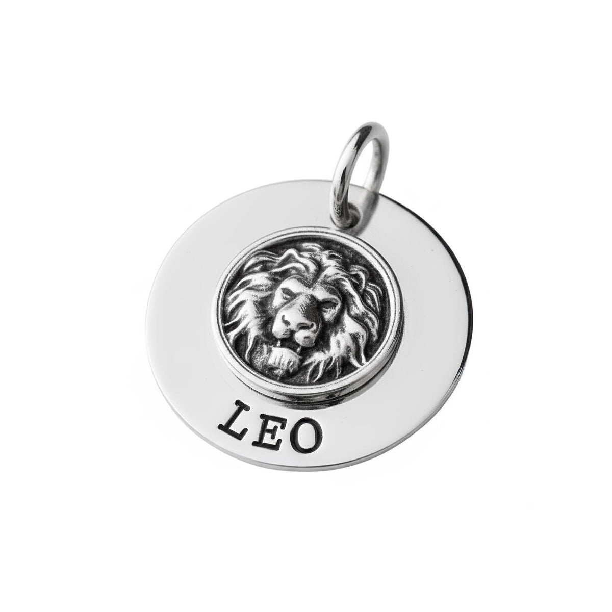 Lion Dog Tag | Custom Engraved Pet ID Collar Charm, close-up detail