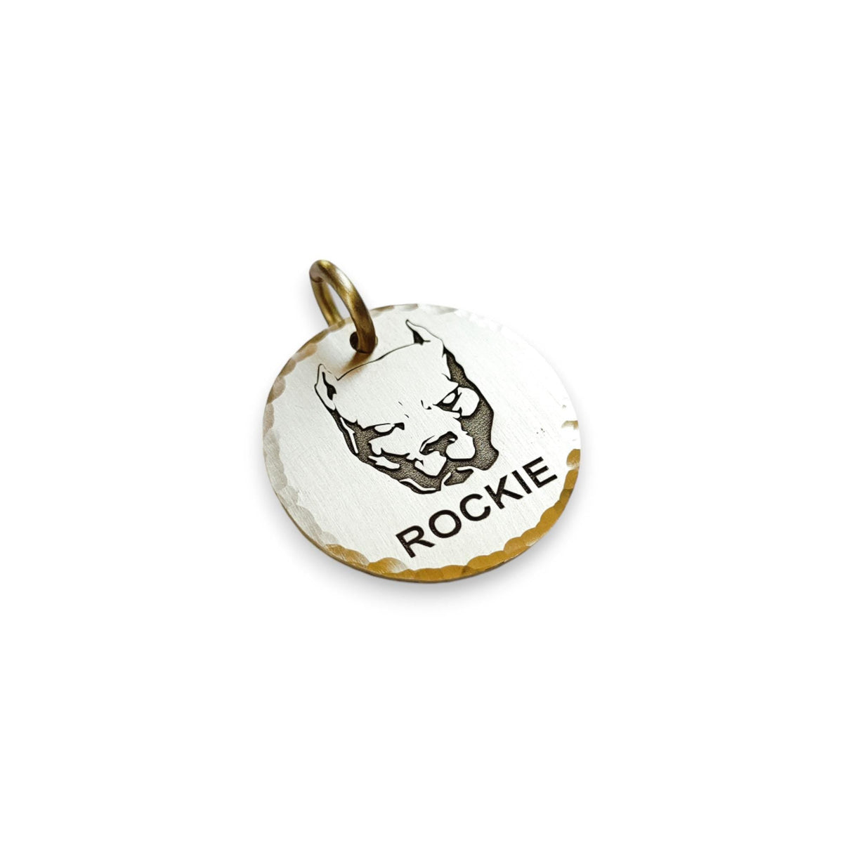 The Guardian Pitbull Token | Artisan Breed Pet ID & Custom Engraved Dog Tag, styled view