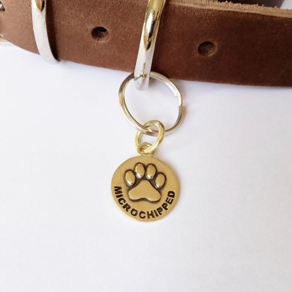 The Microchip Sentinel Token | Artisan Minimalist Safety Charm & Brass Pet Add-On, front view